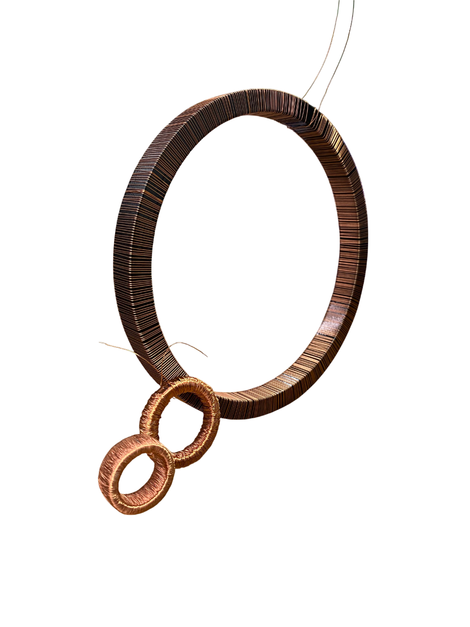 Detalle Bobinado Toroidal